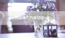 网站推广方案总结(5篇)