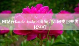 网站在Google Analytics消失，如何找回并优化SEO？