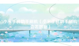 小米手机助手刷机（小米手机助手刷机会丢数据）