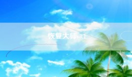 恢复大师v3.1