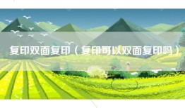 复印双面复印（复印可以双面复印吗）
