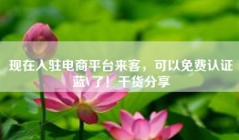 现在入驻电商平台来客，可以免费认证蓝V了！干货分享