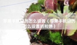 苹果手机日历怎么设置（苹果手机日历怎么设置班和休）