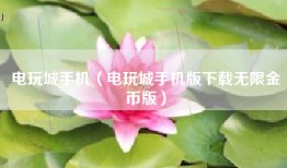 电玩城手机（电玩城手机版下载无限金币版）