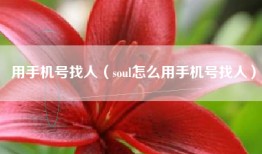 用手机号找人（soul怎么用手机号找人）