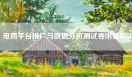 电商平台推广与数据分析测试卷附答案.doc