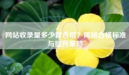网站收录量多少算合格？揭秘合格标准与提升策略