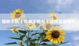 猫眼手机（猫眼手机号不能用能取票吗）