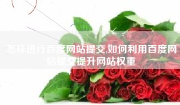 怎样进行百度网站提交,如何利用百度网站提交提升网站权重