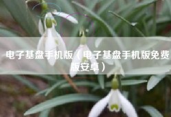电子基盘手机版（电子基盘手机版免费版安卓）