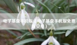 电子基盘手机版（电子基盘手机版免费版安卓）