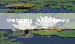 德州网站优化，提高转化率的关键