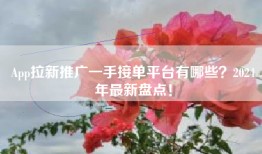 App拉新推广一手接单平台有哪些？2024年最新盘点！