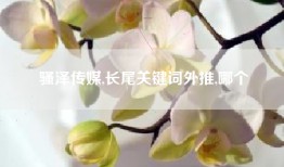 骚泽传媒,长尾关键词外推,哪个