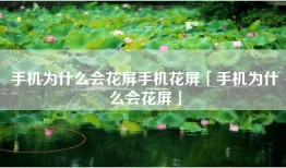 手机为什么会花屏手机花屏「手机为什么会花屏」