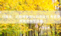 马斯克：已暂停使用比特币支付 考虑使用其他加密货币