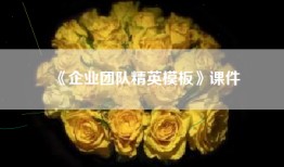 《企业团队精英模板》课件