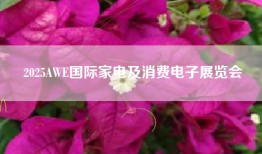 2025AWE国际家电及消费电子展览会