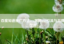 百度知道推广方法，(黑帽seo)引流与品牌塑造