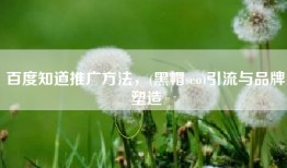 百度知道推广方法，(黑帽seo)引流与品牌塑造