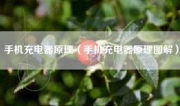 手机充电器原理（手机充电器原理图解）