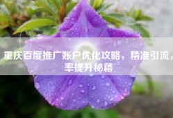 重庆百度推广账户优化攻略，精准引流，率提升秘籍