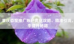 重庆百度推广账户优化攻略，精准引流，率提升秘籍