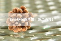 昔日500亿独角兽，破产清算！