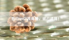 昔日500亿独角兽，破产清算！
