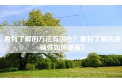 盈利了解的方法有哪些？盈利了解的准确性如何提高？