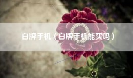 白牌手机（白牌手机能买吗）
