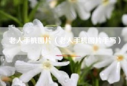 老人手机图片（老人手机图片手写）