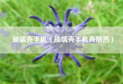 玻璃壳手机（玻璃壳手机壳散热）