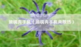 玻璃壳手机（玻璃壳手机壳散热）