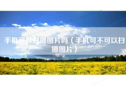 手机可以扫描图片吗（手机可不可以扫描图片）
