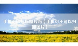 手机可以扫描图片吗（手机可不可以扫描图片）