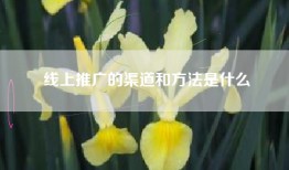 线上推广的渠道和方法是什么
