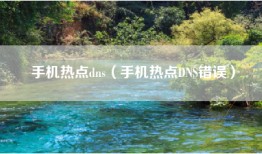 手机热点dns（手机热点DNS错误）