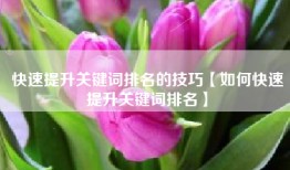 快速提升关键词排名的技巧【如何快速提升关键词排名】