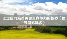 让企业网站首页更具竞争力的核心（提升网站排名）