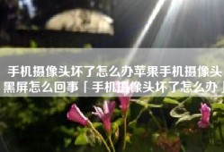 手机摄像头坏了怎么办苹果手机摄像头黑屏怎么回事「手机摄像头坏了怎么办」