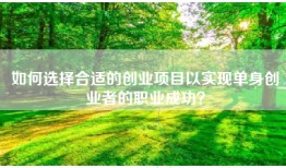 如何选择合适的创业项目以实现单身创业者的职业成功？