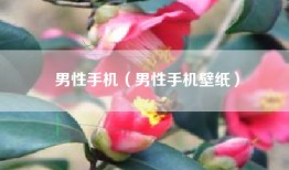 男性手机（男性手机壁纸）