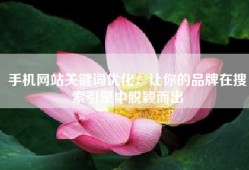 手机网站关键词优化：让你的品牌在搜索引擎中脱颖而出