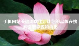 手机网站关键词优化：让你的品牌在搜索引擎中脱颖而出