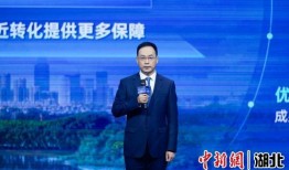 中新网湖北 湖北新闻网 武汉奋力打造具有全国影响力的科技创新高地