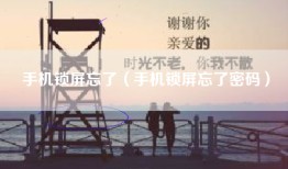 手机锁屏忘了（手机锁屏忘了密码）