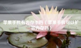苹果手机有内存卡吗（苹果手机可以扩容内存吗）