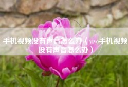 手机视频没有声音怎么办（vivo手机视频没有声音怎么办）