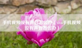 手机视频没有声音怎么办（vivo手机视频没有声音怎么办）